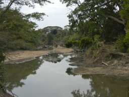 Western_Corridor_(Kirawira)2003-079